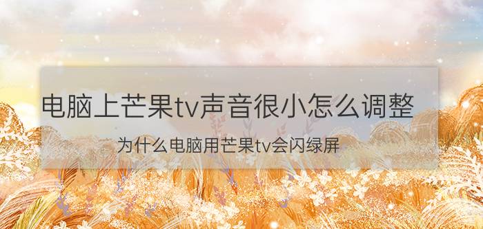 电脑上芒果tv声音很小怎么调整 为什么电脑用芒果tv会闪绿屏？